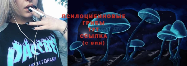 СК Михайловск