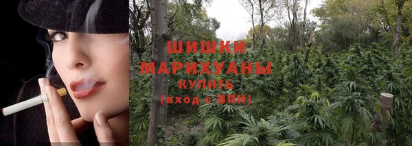 гидра Михайлов