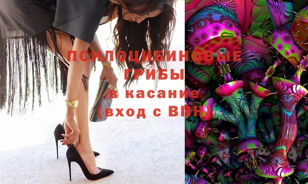 СК Михайловск