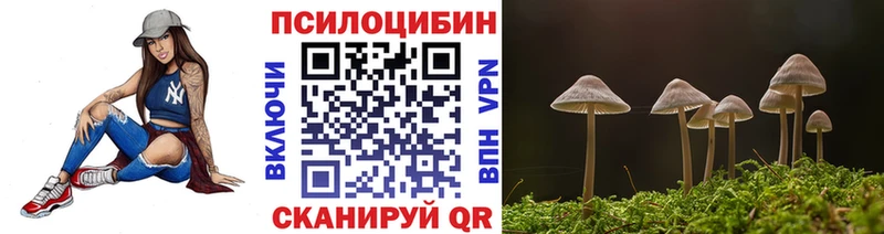kraken зеркало  наркота  Новое Девяткино  Псилоцибиновые грибы ЛСД 